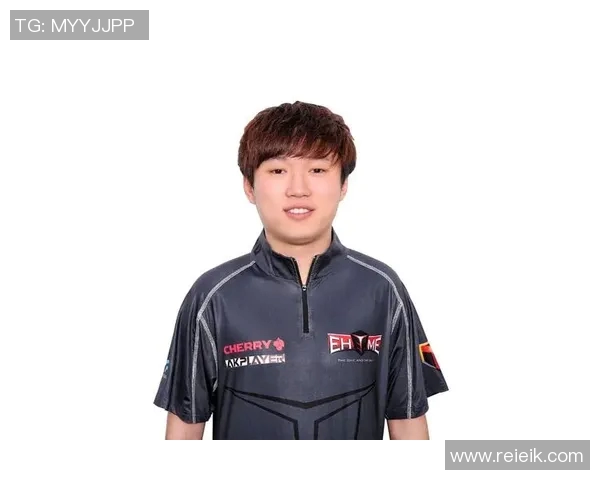 EDG区域防守策略分析及其在CSGO比赛中的成效与不足探讨